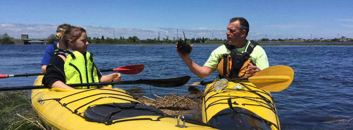 Plum Island Kayak